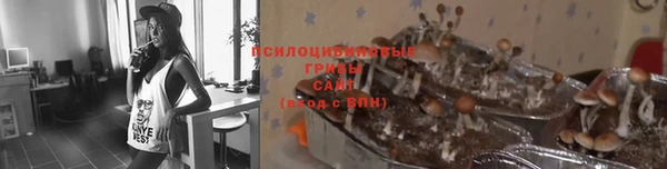 mdpv Алексеевка